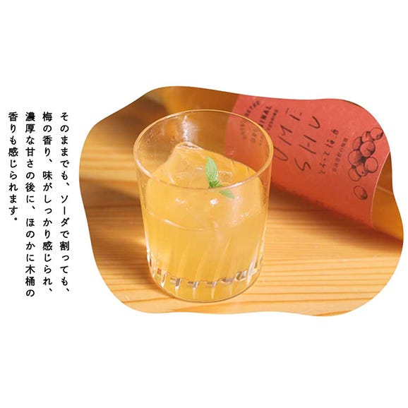 日本酒＆梅酒ギフトセット（各720ml）06