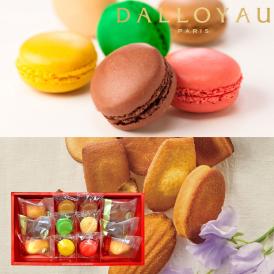 【全国均一送料】DALLOYAU_マカロンドゥミセック詰め合わせ（中）