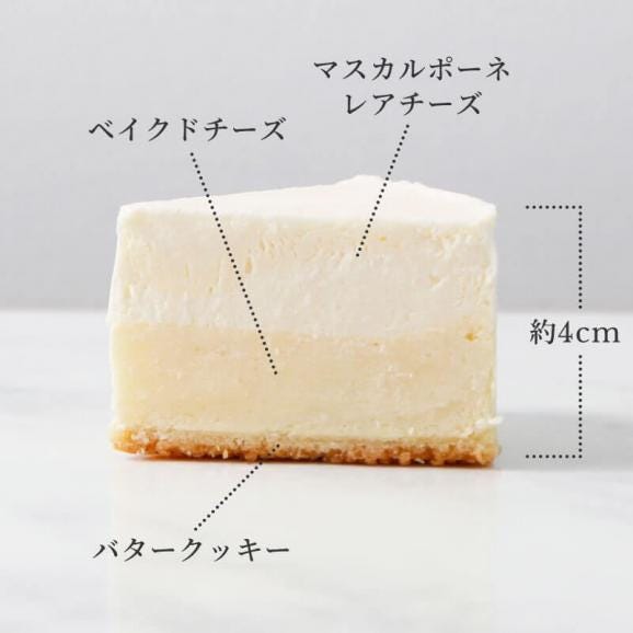 6Cチーズケーキ　チョコアソート【2種各3個入】02