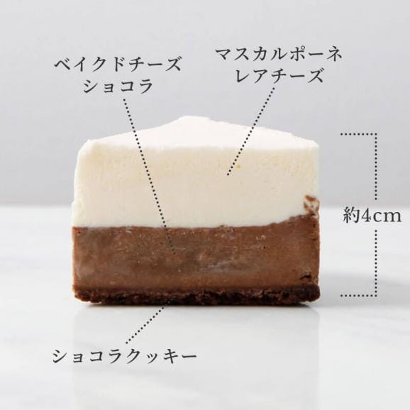 6Cチーズケーキ　チョコアソート【2種各3個入】03