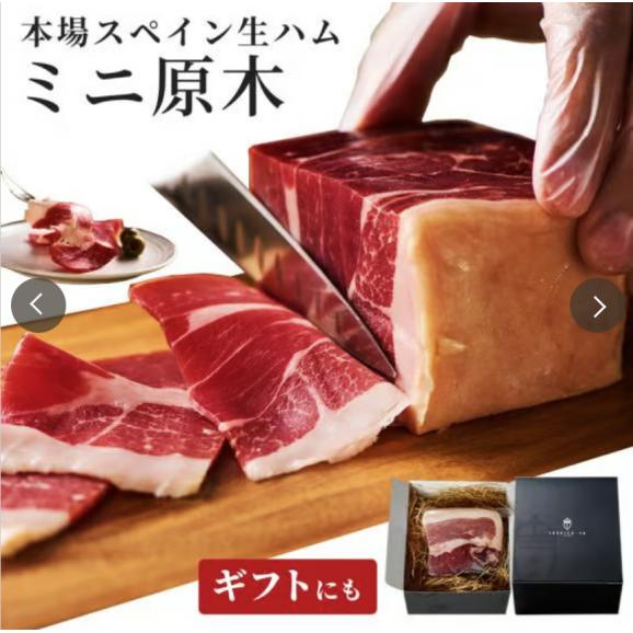 【人気の生ハムブロック】 ミニ原木 スペイン産 ブロック ハム 250~300g 誕生日 お祝い 父の日 ギフト プレゼント 送料無料 冷蔵01