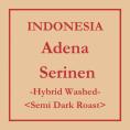 【数量限定・注文後焙煎】上野「cafeoro」山下敦子氏 コーヒー（豆or粉）180g Indonesia Adena Serinen Hybrid Washed　中深煎り【8,000円以上送料無料】