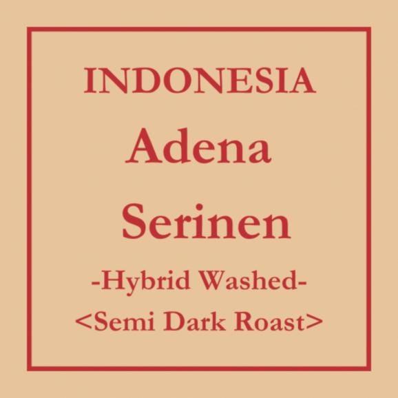 【数量限定・注文後焙煎】上野「cafeoro」山下敦子氏 コーヒー（豆or粉）180g Indonesia Adena Serinen Hybrid Washed　中深煎り【8,000円以上送料無料】01