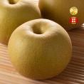 【全国送料無料】特秀・秀等級 &ldquo;甘みじゅわじゅわ&rdquo; 完熟 梨（幸水・豊水・秋月） 5kg（10玉～15玉）【福島県産・選べる品種と発送時期 】