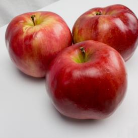 紅の夢 クッキング用B （10玉～20玉）  果肉まで赤い希少品種