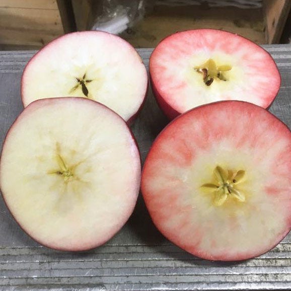 紅の夢 クッキング用B （10玉～20玉）  果肉まで赤い希少品種03