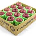 コスモふじ 5kg ギフト用 | 絶妙な甘味・酸味で最高峰の味わい