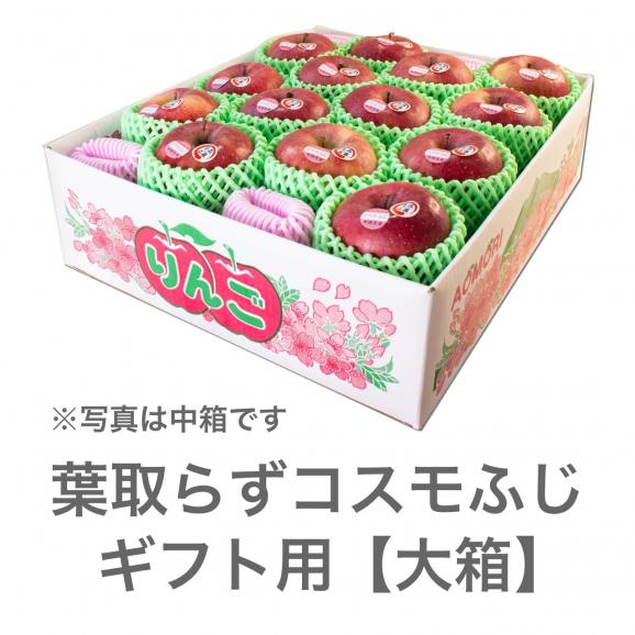 葉取らずコスモふじ 大箱 ギフト用 | 絶妙な甘味・酸味で最高峰の味わい02