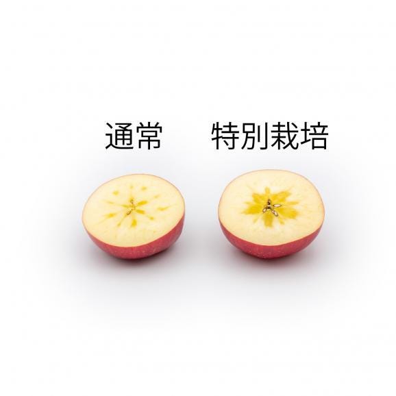 【特別栽培】弘前ふじ 大箱 ギフト用 | 味を追求した一品03