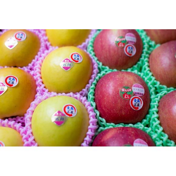 人気商品2種のお得なセット！葉取らずコスモふじ・ぐんま名月【大箱・ご自宅用】02