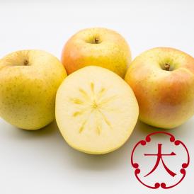 きみと 大箱 ご自宅用| 濃厚な甘さと香りが広がる新品種