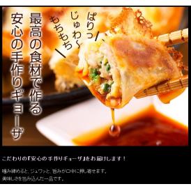 【３パック】道産チーズ入り手作りギョーザ：冷凍便