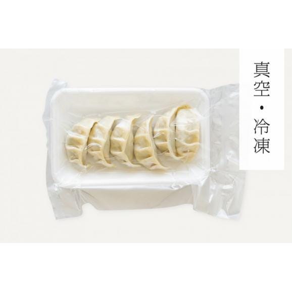 【１パック】道産チーズ入り手作りギョーザ：冷凍便02