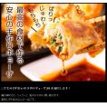 【ファミリーパック30個】道産チーズ入り手作りギョーザお得な大袋：冷凍便