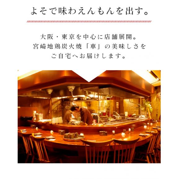 【送料無料】宮崎名物 もも炭火焼き セット【100g×5袋】【冷凍便】親鶏 湯煎 真空パック 鶏 鳥 冷凍 炭火焼き 炭火焼 鶏の炭火焼き 鳥の炭火焼き04