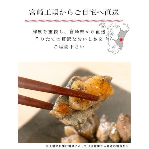 宮崎山地鶏 炭火焼き レア焼き【100g×1袋】【冷凍便】宮崎地鶏 宮崎 地鶏 地 鶏 真空パック 鶏 冷凍 炭火焼き 炭火焼 地鶏炭火焼き04