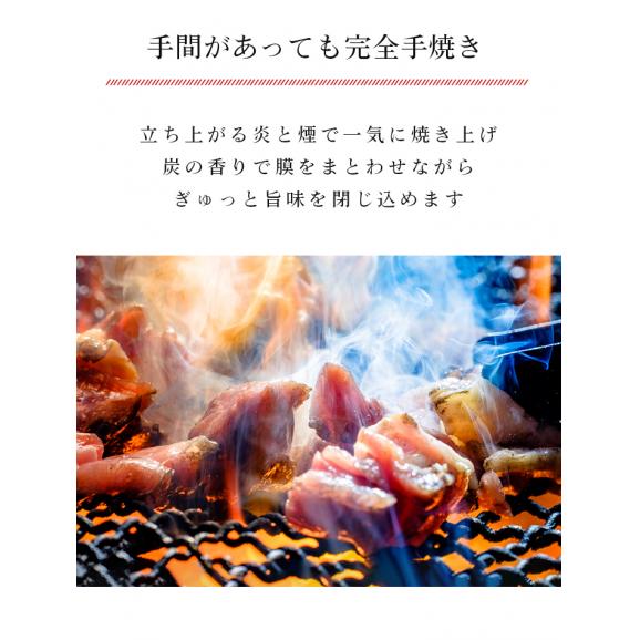 宮崎山地鶏 炭火焼き レア焼き【100g×1袋】【冷凍便】宮崎地鶏 宮崎 地鶏 地 鶏 真空パック 鶏 冷凍 炭火焼き 炭火焼 地鶏炭火焼き05
