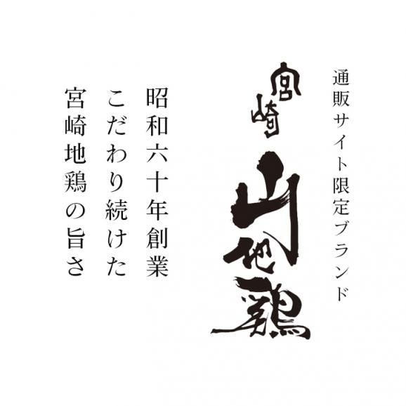 宮崎山地鶏 ももたたき スライス【100g×1パック】【冷凍便】宮崎地鶏 宮崎 地鶏 鶏 鶏肉 真空パック 鶏 おつまみ 酒のつまみ たたき タタキ 鶏たたき 地鶏たたき 鶏刺し 03