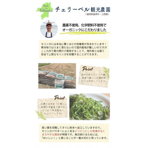モリンガパウダー〈10袋〉06