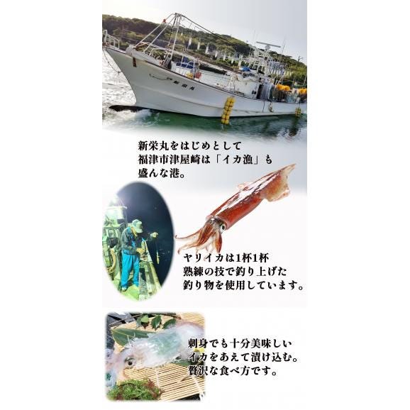 福岡 漁師秘伝だれヤリイカの醤油漬け〈6P〉02