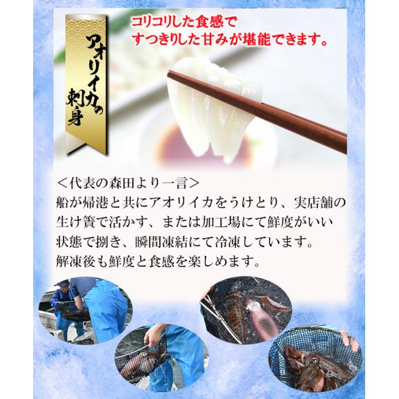 玄界灘 アオリイカの刺身セット〈50ｇ×6P〉05