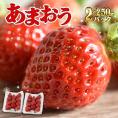 フレッシュあまおう500g(250g×2P)【受取日指定不可】