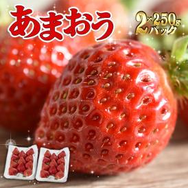 フレッシュあまおう500g(250g×2P)【受取日指定不可】
