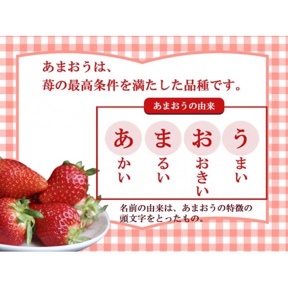 フレッシュあまおう500g(250g×2P)【受取日指定不可】03