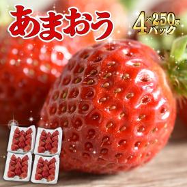 フレッシュあまおう1kg (250g×4P)【受取日指定不可】