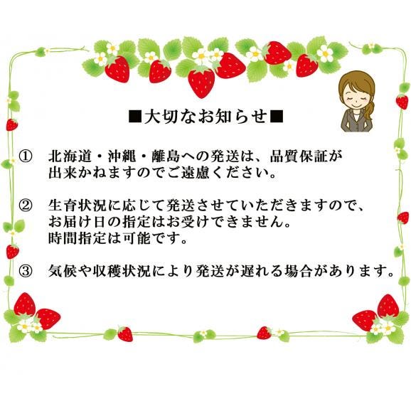 フレッシュあまおう1kg (250g×4P)【受取日指定不可】02