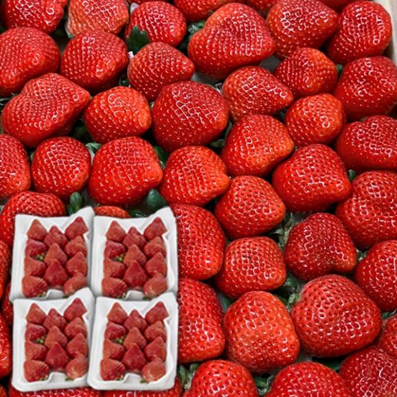フレッシュあまおう1kg (250g×4P)【受取日指定不可】05