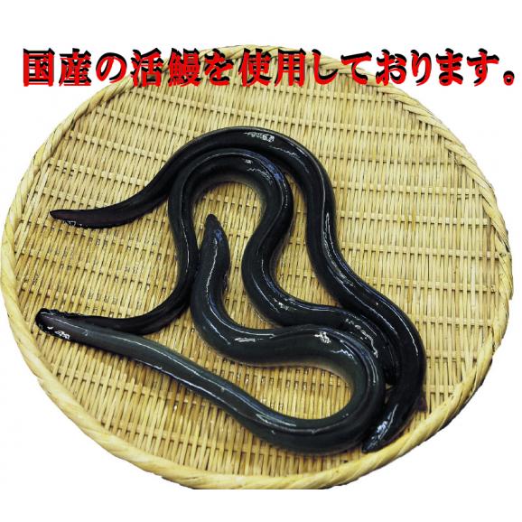 炭火焼鰻蒲焼き（3尾入）04