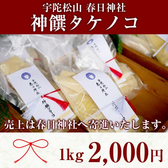 筍(たけのこ)の商品一覧|通販・お取り寄せ・販売【ぐるすぐり】 筍(たけのこ)の商品一覧|通販・お取り寄せ・販売【ぐるすぐり】