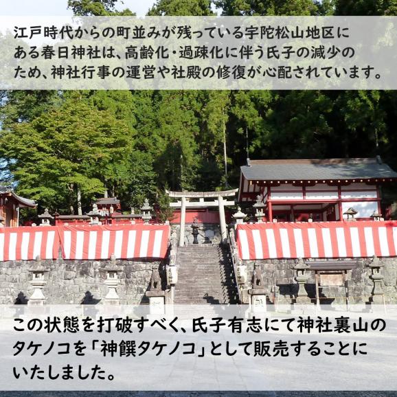 神饌タケノコ 1kg　【売上は春日神社に寄進いたします】02