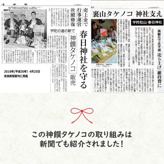 神饌タケノコ 1kg　【売上は春日神社に寄進いたします】04