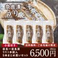 【帰省のおみやげにピッタリ、8/5まで送料無料】奈良一奈良漬 うり1本袋入り 300g × ５本　まとめ買いセット