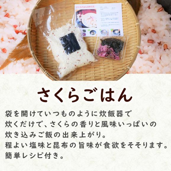 【送料無料！】限定販売・さくらごはんと奈良漬セット【母の日のギフトに！】03