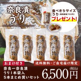 【7/8まで限定！おまけ付＆送料無料】奈良一奈良漬 うり1本袋入り 300g × ５本　まとめ買いセット