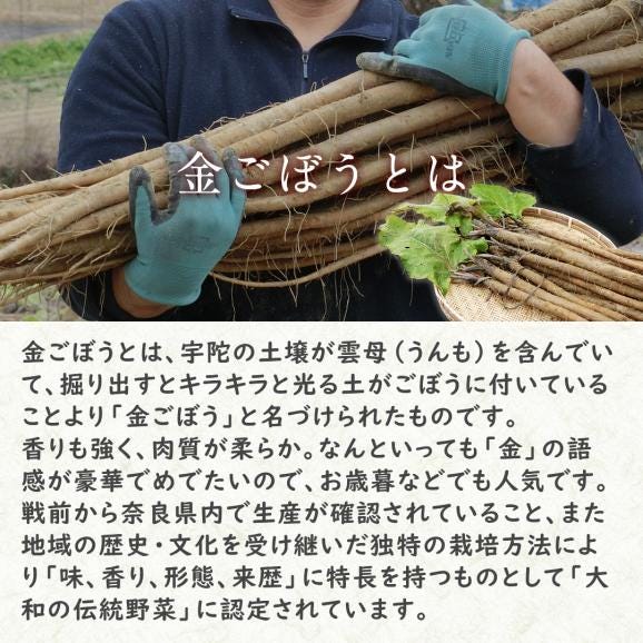 【国産・無添加 Premium】金ごぼう02