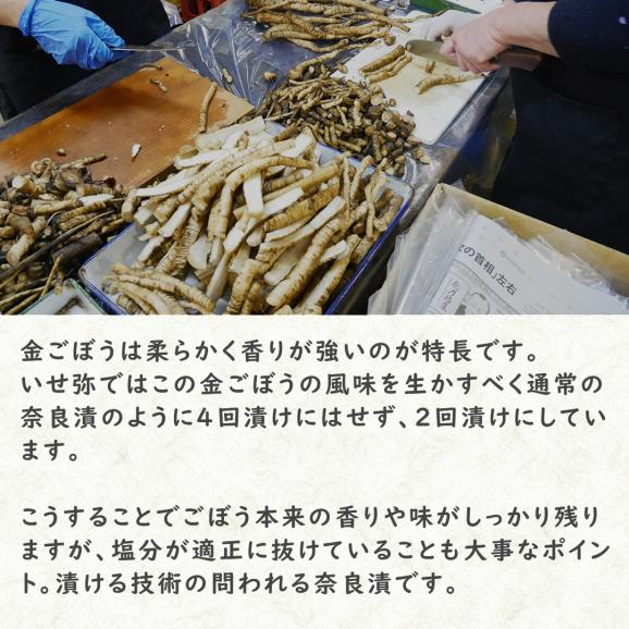 【国産・無添加 Premium】金ごぼう04