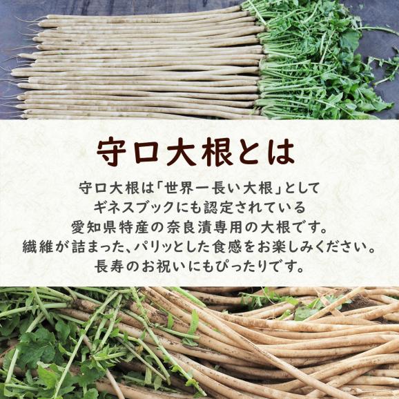 【国産・無添加 Premium】 奈良漬 守口大根02