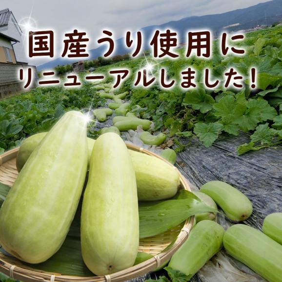 食べきりSサイズ 奈良一奈良漬 うり 120g04