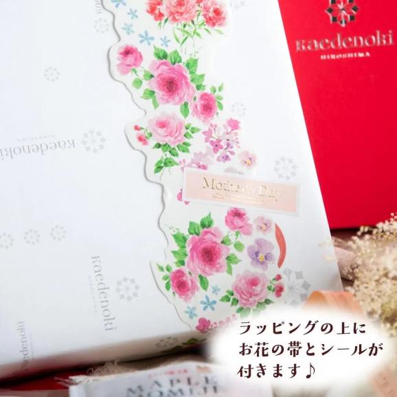 送料込＆母の日限定ラッピング！メープルもみじ4種詰め合わせ【BA35】06
