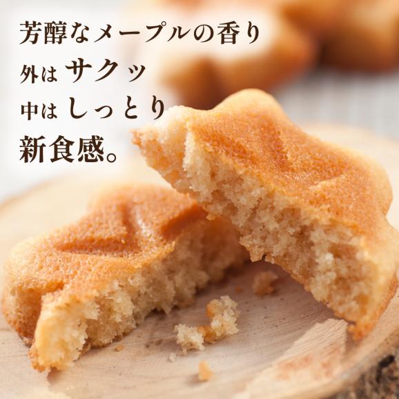 送料込&父の日限定ラッピング!メープルもみじフィナンシェ 16個入り04