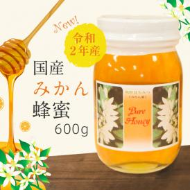 国産みかん蜂蜜 令和２年・和歌山産 600g×2本