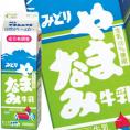 九州乳業 みどり やまなみ牛乳 1000ml紙パック×12本[賞味期限：製造日より15日]【2～3営業日以内に出荷】