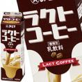 九州乳業 みどり ラクトコーヒー 1000ml紙パック×12本【2～3営業日以内に出荷】