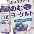 九州乳業 みどりくじゅうファームのむヨーグルト ブルーベリー900g紙パック×12本【2～3営業日以内に出荷】