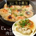 焼き用 生小籠包40個（20個×2P）セット2セットまで1配送でお届け［冷凍］【3～4営業日以内に出荷】