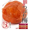 超低塩 塩分3％ 紀州 南高梅 つぶれ梅 はちみつ梅＆しそ梅　1kgセット【5～8営業日以内に出荷】送料無料